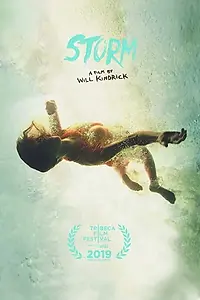 Постер к фильму «Storm (2019)»