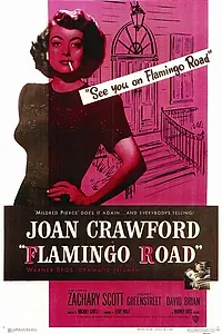 Главный постер фильма «Путь фламинго (1949)»