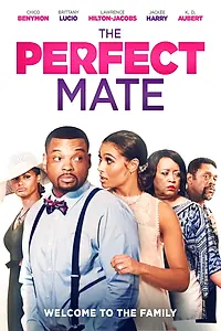 Главный постер фильма «The Perfect Mate (2020)»