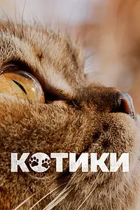 Главный постер фильма «Котики (2022)»