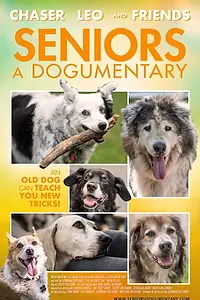 Главный постер фильма «Seniors: A Dogumentary (2020)»