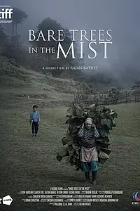 Постер к фильму «Bare Trees in the Mist (2019)»