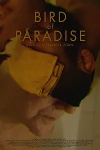 Главный постер фильма «Bird of Paradise (2019)»
