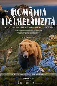 Главный постер фильма «Дикая Румыния (2018)»