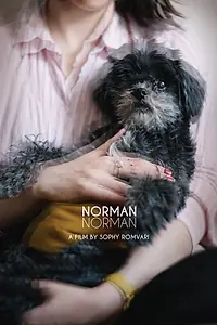 Постер к фильму «Norman Norman (2018)»