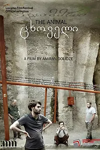 Постер к фильму «Tskhoveli (2019)»