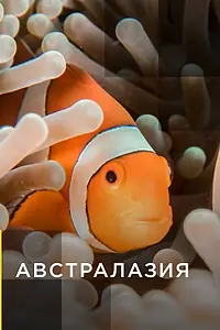 Постер к сериалу «Австралазия (2017)»