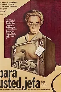 Постер к фильму «Для тебя, хозяйка (1980)»
