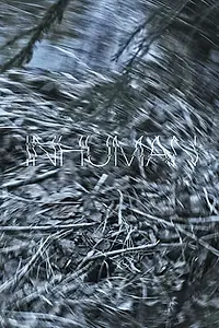 Постер к фильму «Inhuman (2016)»