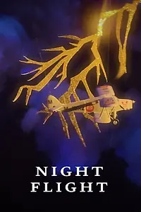 Постер к фильму «Night Flight (2019)»