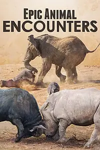 Постер к сериалу «Epic Animal Encounters (2019)»