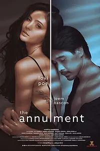 Постер к фильму «The Annulment (2019)»