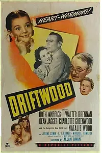 Постер к фильму «Обломки (1947)»