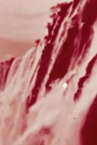 Главный постер фильма «Sol Negro (2019)»