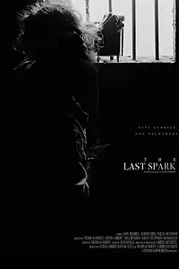 Постер к фильму «The Last Spark (2021)»