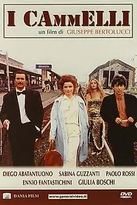 Главный постер фильма «Верблюды (1988)»