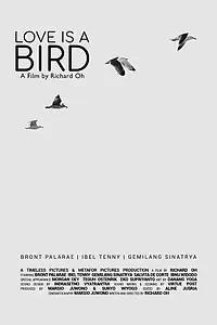Главный постер фильма «Love Is A Bird (2019)»