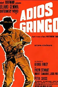 Главный постер фильма «Прощай гринго (1965)»