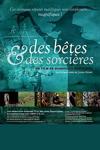 Главный постер сериала «Des bêtes et des sorcières (2019)»