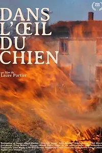 Главный постер фильма «Dans l'oeil du chien (2019)»