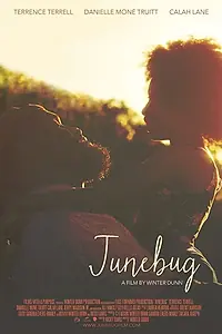 Постер к фильму «Junebug (2020)»