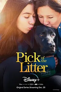 Постер к сериалу «Pick of the Litter (2019)»