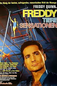Главный постер фильма «Freddy, Tiere, Sensationen (1964)»