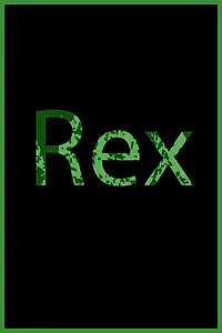 Постер к сериалу «Rex (2017)»