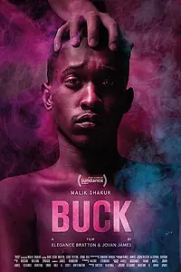 Постер к фильму «Buck (2020)»