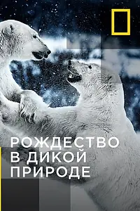 Главный постер сериала «Рождество в дикой природе (2011 - 2016)»