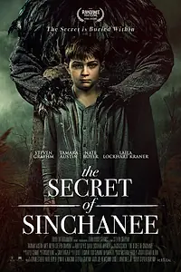 Постер к фильму «Тайна Синчани (2021)»