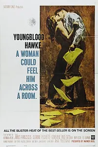 Главный постер фильма «Молодой Хоук (1964)»