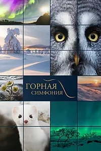 Главный постер фильма «Горная симфония (2021)»