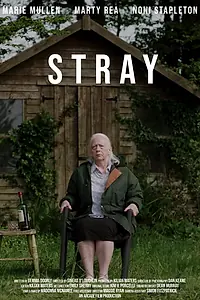 Постер к фильму «Stray (2019)»