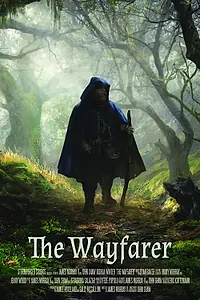 Постер к фильму «The Wayfarer (2020)»