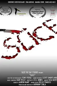 Постер к фильму «Slice (2020)»