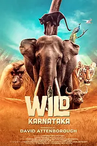Главный постер фильма «Дикая Карнатака (2020)»