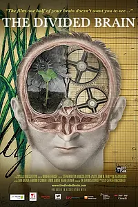 Постер к фильму «The Divided Brain (2019)»