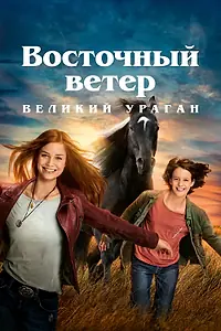 Постер к фильму «Восточный ветер. Великий ураган (2021)»