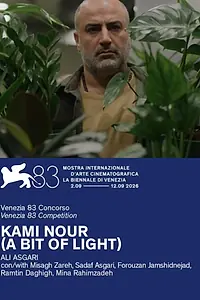 Постер к фильму «Немного света (2026)»