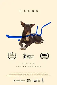 Главный постер фильма «Дворняги (2019)»