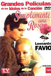 Постер к фильму «Просто розы (1971)»