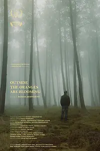 Постер к фильму «Outside Oranges Are Blooming (2019)»