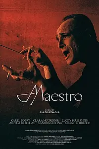 Постер к фильму «Maestro»