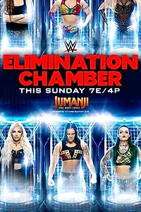 Главный постер фильма «WWE Камера ликвидации (2020)»