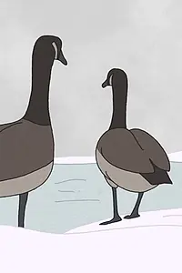 Главный постер мультфильма «Hudson Geese (2020)»
