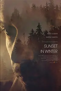 Главный постер фильма «Sunset in Winter (2021)»