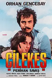 Постер к фильму «Çilekes (1978)»