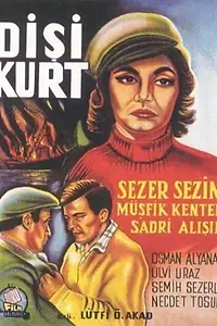 Постер к фильму «Disi kurt (1960)»