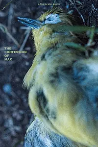 Главный постер фильма «The Confession of Max (2020)»